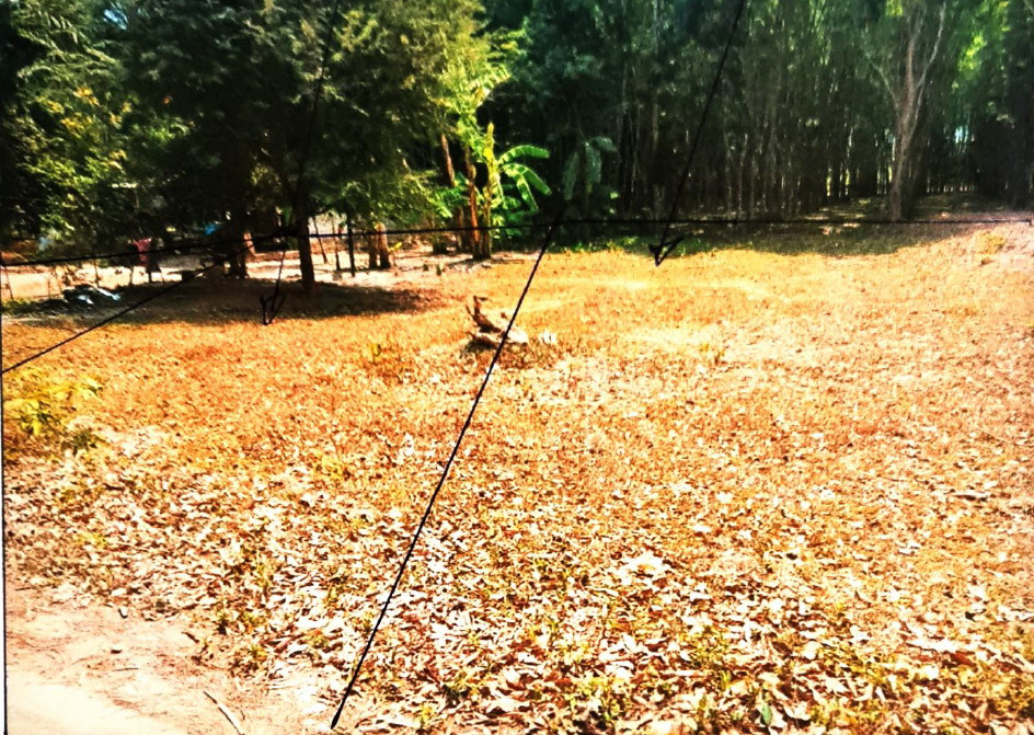 รูปที่ดินว่างเปล่า ท่าเรือ บ้านนาเดิม สุราษฎร์ธานี