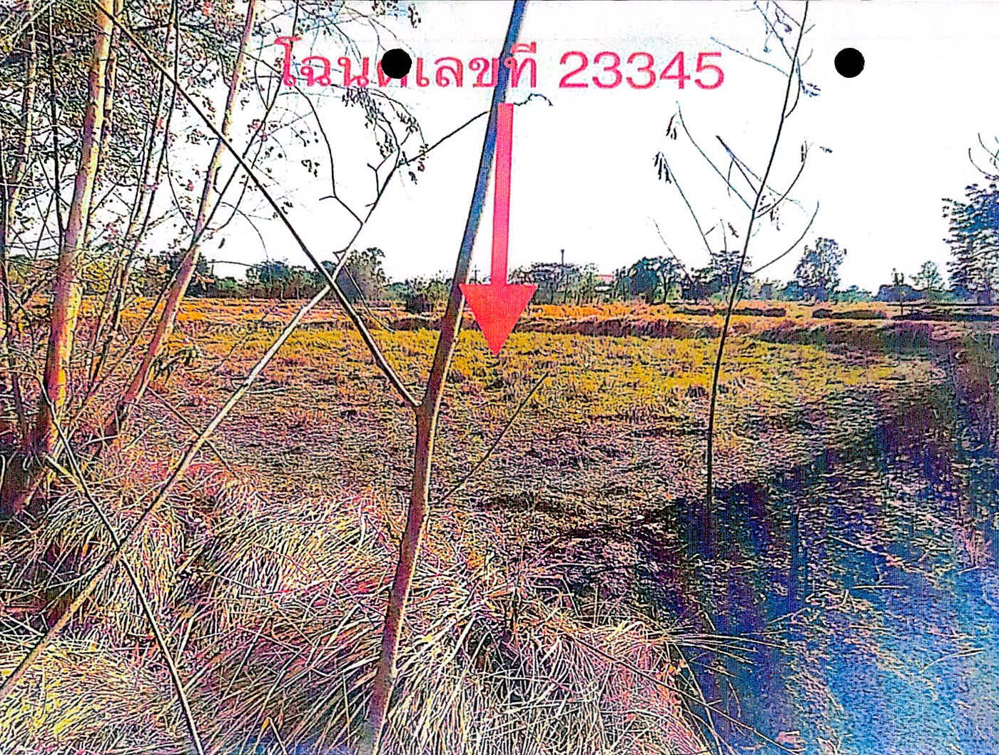 รูปที่ดินว่างเปล่า หนองไผ่ เมืองชัยภูมิ ชัยภูมิ