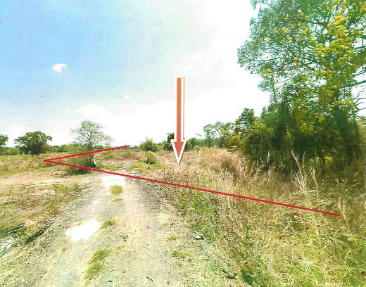 รูปที่ดินว่างเปล่า แก่งเลิงจาน เมืองมหาสารคาม มหาสารคาม