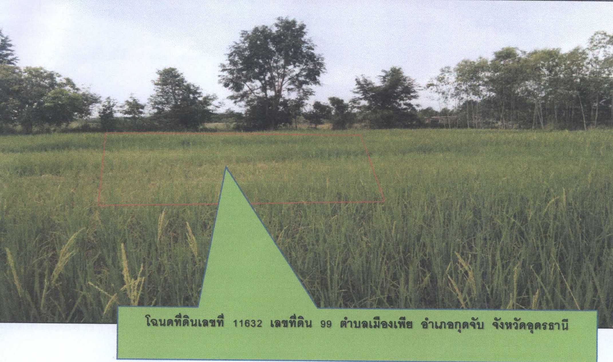 รูปที่ดินว่างเปล่า เมืองเพีย กุดจับ อุดรธานี