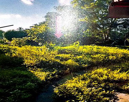 รูปที่ดินว่างเปล่า ท่าวัง เมืองนครศรีธรรมราช นครศรีธรรมราช