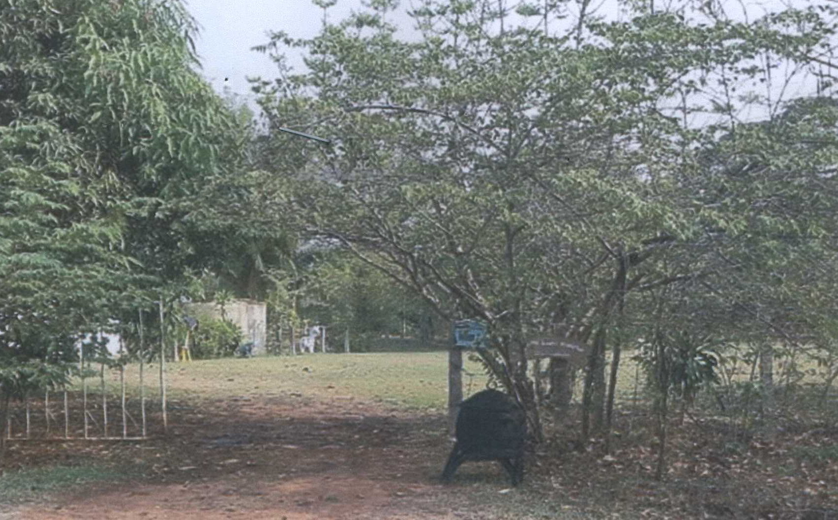 รูปที่ดินว่างเปล่า หลักเหลี่ยม นามน กาฬสินธุ์