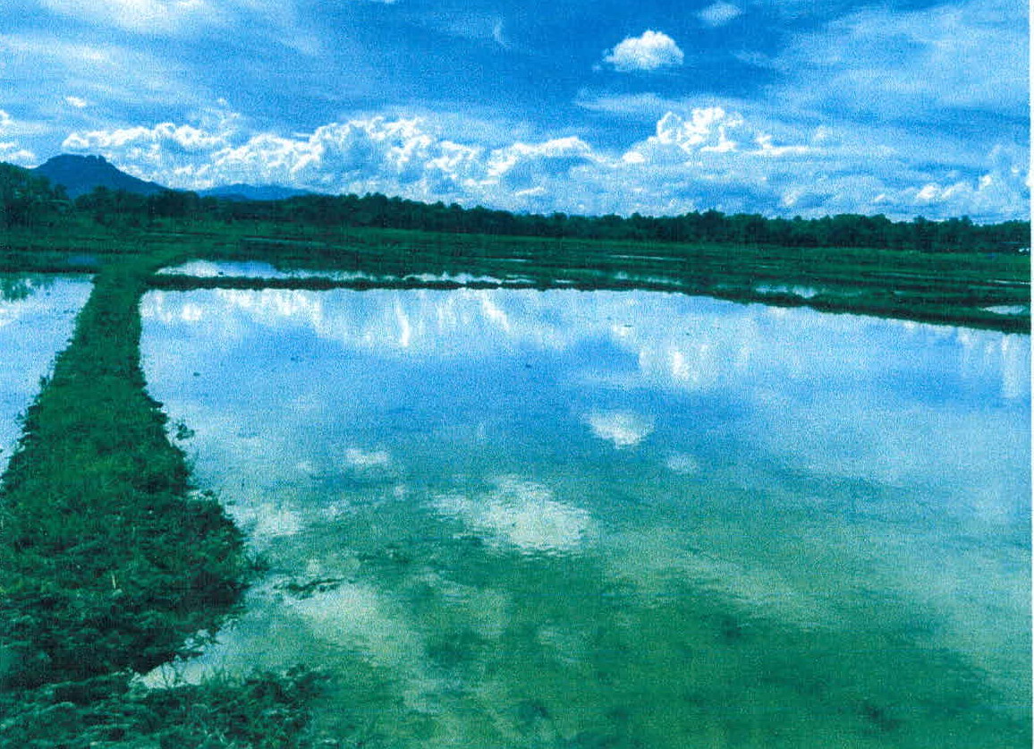 รูปที่ดินว่างเปล่า แจ้ห่ม แจ้ห่ม ลำปาง