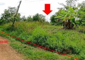 รูปที่ดินว่างเปล่า คำไผ่ ไทยเจริญ ยโสธร
