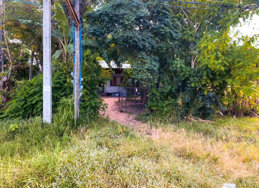 รูปที่ดินพร้อมสิ่งปลูกสร้าง เขวา เมืองมหาสารคาม มหาสารคาม
