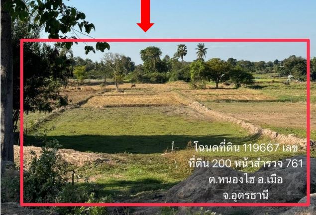 รูปที่ดินว่างเปล่า หนองไฮ เมืองอุดรธานี อุดรธานี