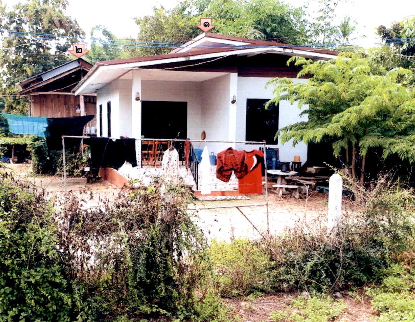 รูปที่ดินพร้อมสิ่งปลูกสร้าง บ้านแซว เชียงแสน เชียงราย