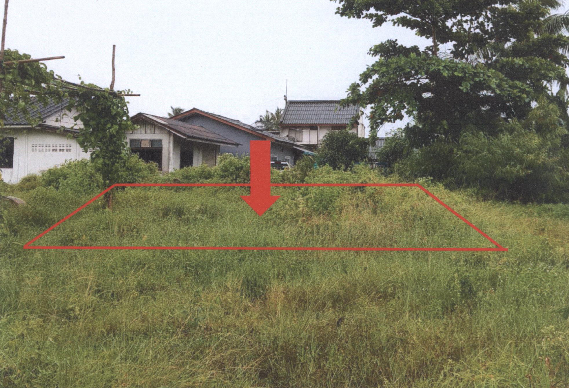 รูปที่ดินว่างเปล่า ม่วงงาม สิงหนคร สงขลา