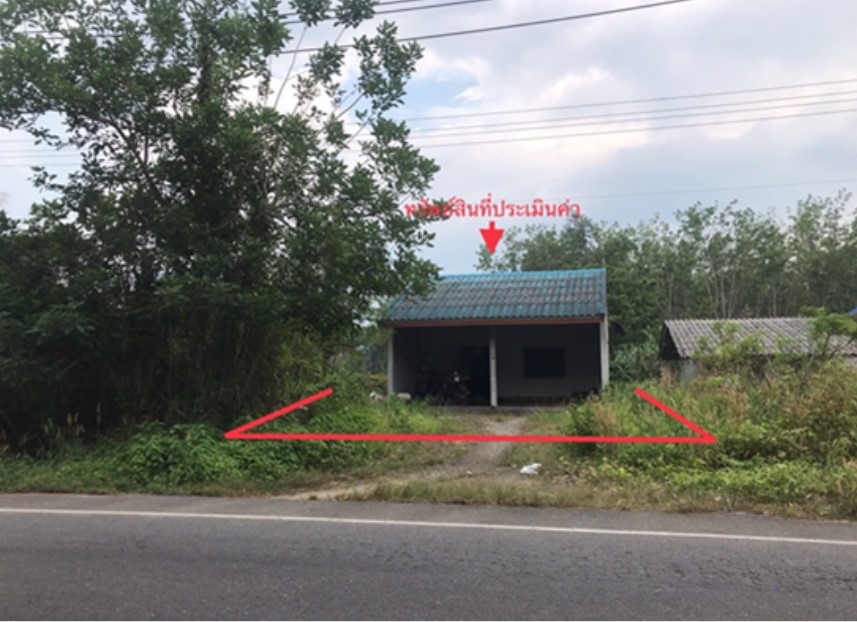 รูปที่ดินพร้อมสิ่งปลูกสร้าง หลักช้าง ช้างกลาง นครศรีธรรมราช