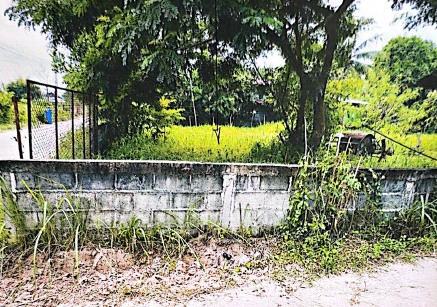 รูปที่ดินว่างเปล่า น้ำคำใหญ่ เมืองยโสธร ยโสธร