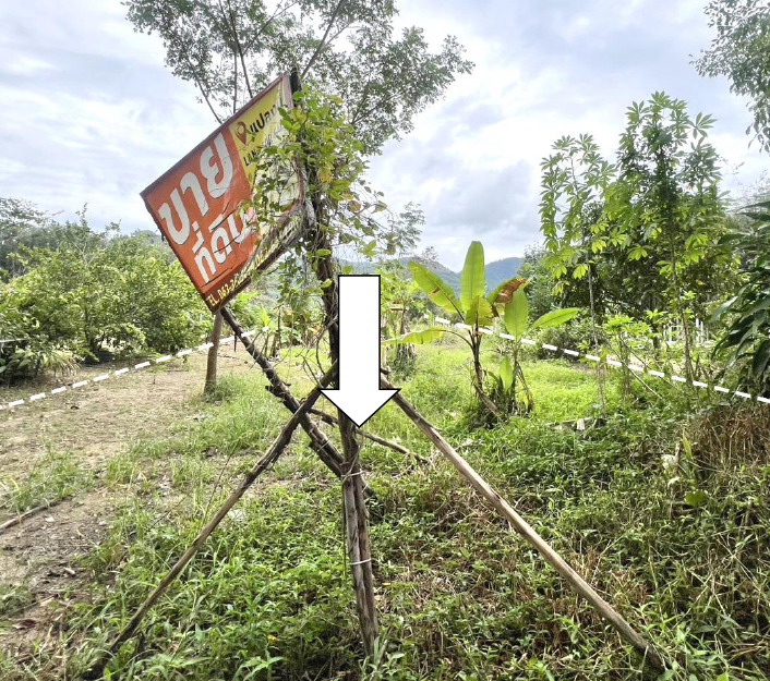 รูปที่ดินว่างเปล่า บางบุตร บ้านค่าย ระยอง