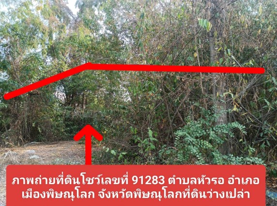 รูปที่ดินว่างเปล่า หัวรอ เมืองพิษณุโลก พิษณุโลก