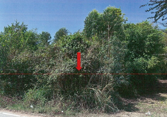 รูปที่ดินว่างเปล่า หนองบัว พยัคฆภูมิพิสัย มหาสารคาม