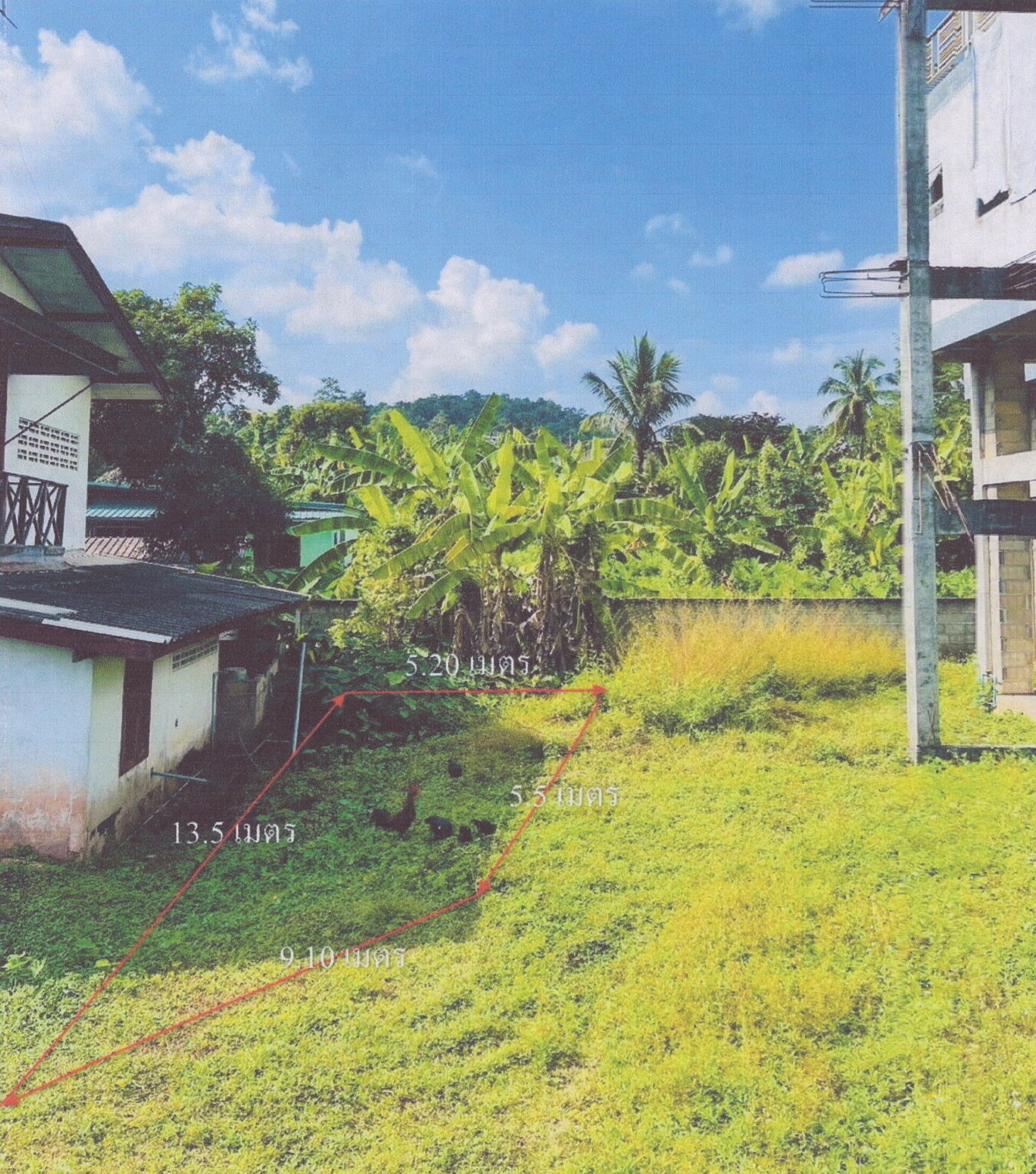 รูปที่ดินว่างเปล่า สันติสุข พาน เชียงราย
