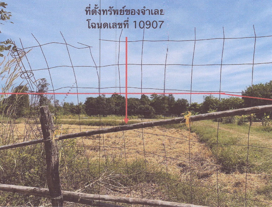 รูปที่ดินว่างเปล่า คำไฮใหญ่ ดอนมดแดง อุบลราชธานี