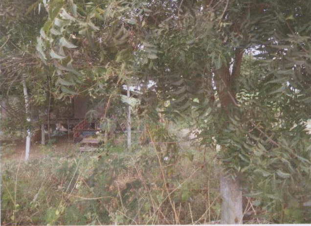 รูปที่ดินว่างเปล่า ท่าสองคอน เมืองมหาสารคาม มหาสารคาม