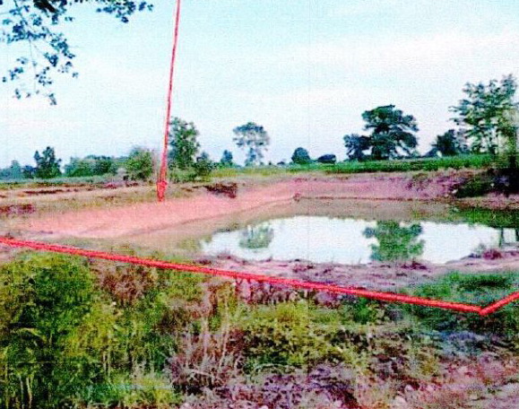 รูปที่ดินว่างเปล่า หนองสรวง ขามทะเลสอ นครราชสีมา