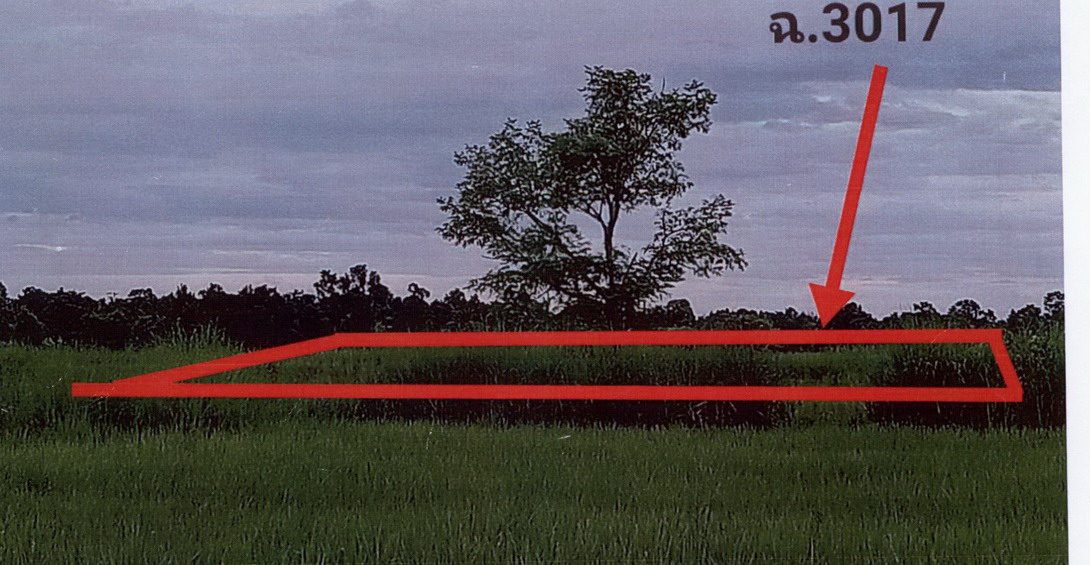 รูปที่ดินว่างเปล่า แพด คำตากล้า สกลนคร