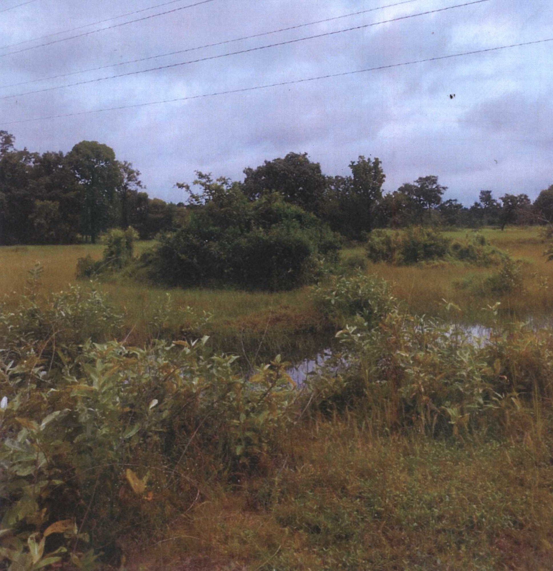 รูปที่ดินว่างเปล่า ดู่ทุ่ง เมืองยโสธร ยโสธร