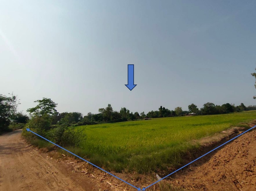 รูปที่ดินว่างเปล่า โพนงาม โกสุมพิสัย มหาสารคาม