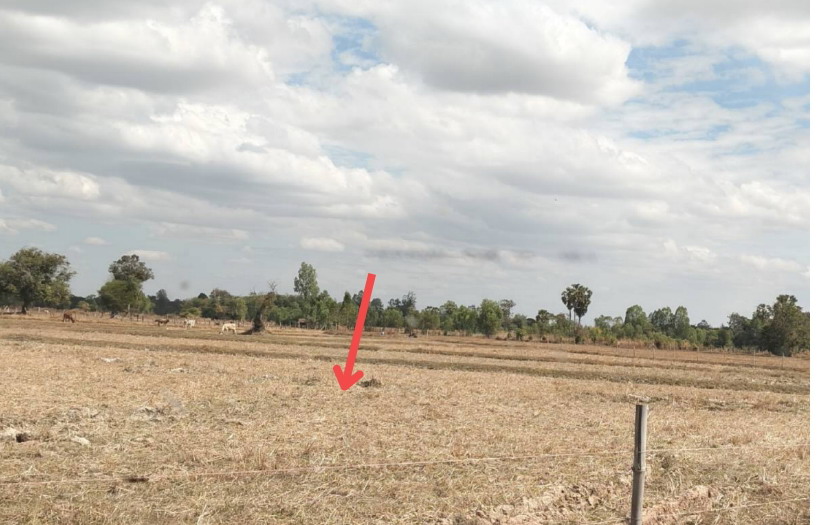 รูปที่ดินว่างเปล่า ตองโขบ โคกศรีสุพรรณ สกลนคร