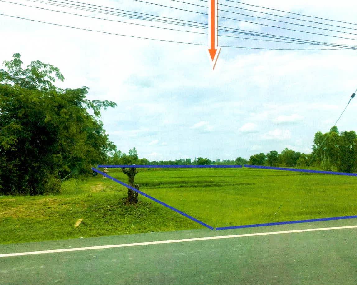 รูปที่ดินว่างเปล่า สวาย เมืองสุรินทร์ สุรินทร์