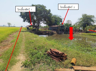 รูปที่ดินพร้อมสิ่งปลูกสร้าง วังวน พรหมพิราม พิษณุโลก