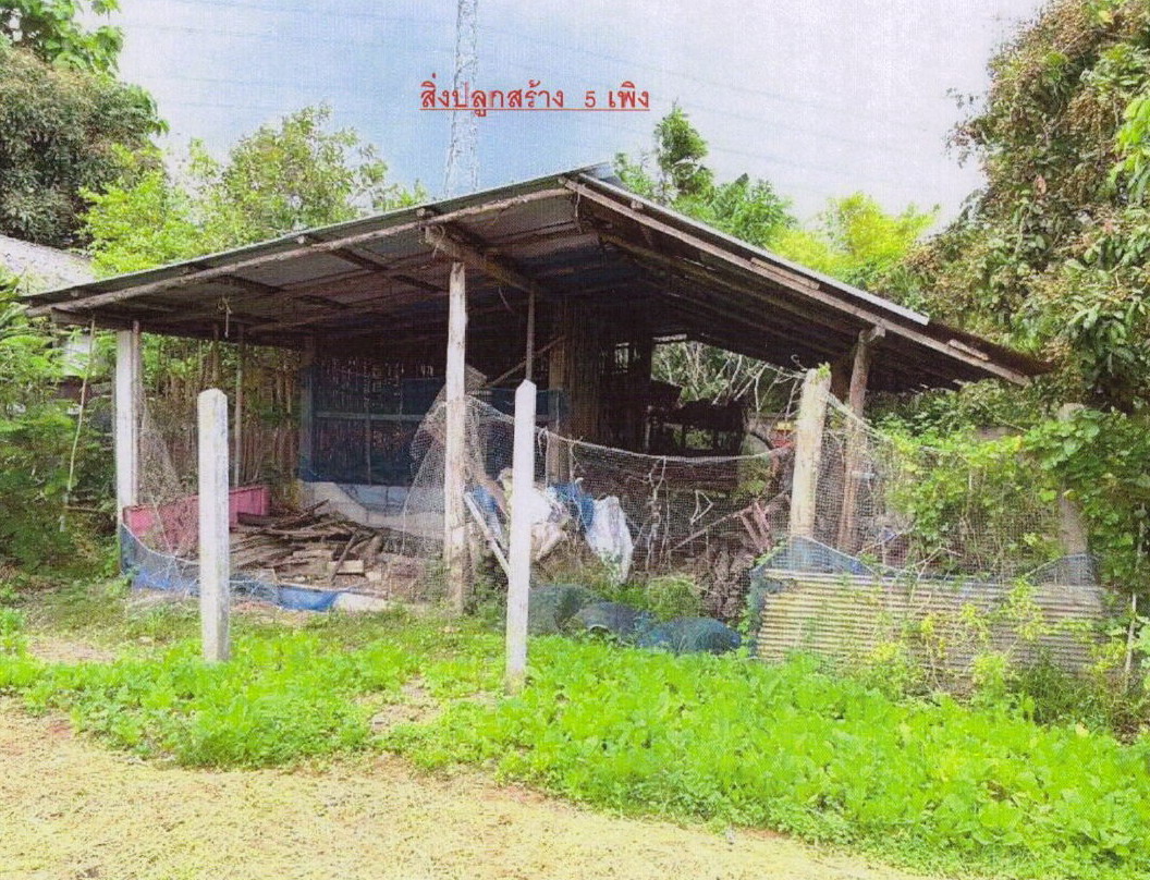 รูปที่ดินพร้อมสิ่งปลูกสร้าง ม่วงคำ พาน เชียงราย