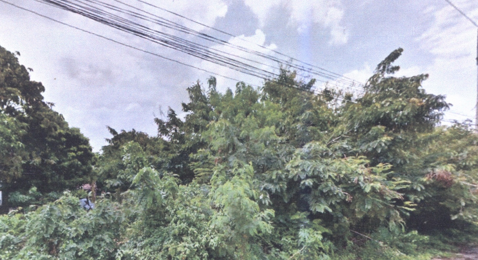รูปที่ดินว่างเปล่า บึงบา หนองเสือ ปทุมธานี