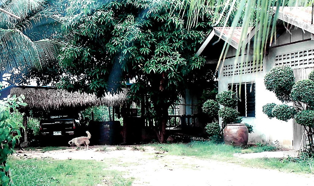รูปที่ดินพร้อมสิ่งปลูกสร้าง ในเมือง พิมาย นครราชสีมา