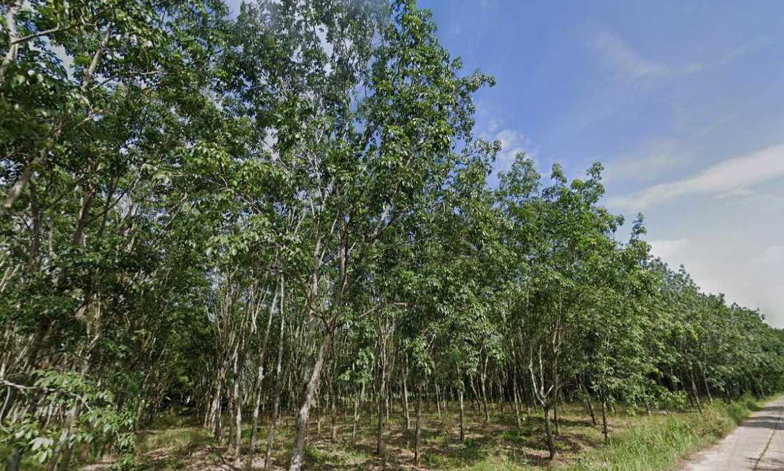 รูปที่ดินว่างเปล่า เทพคีรี นาวัง หนองบัวลำภู