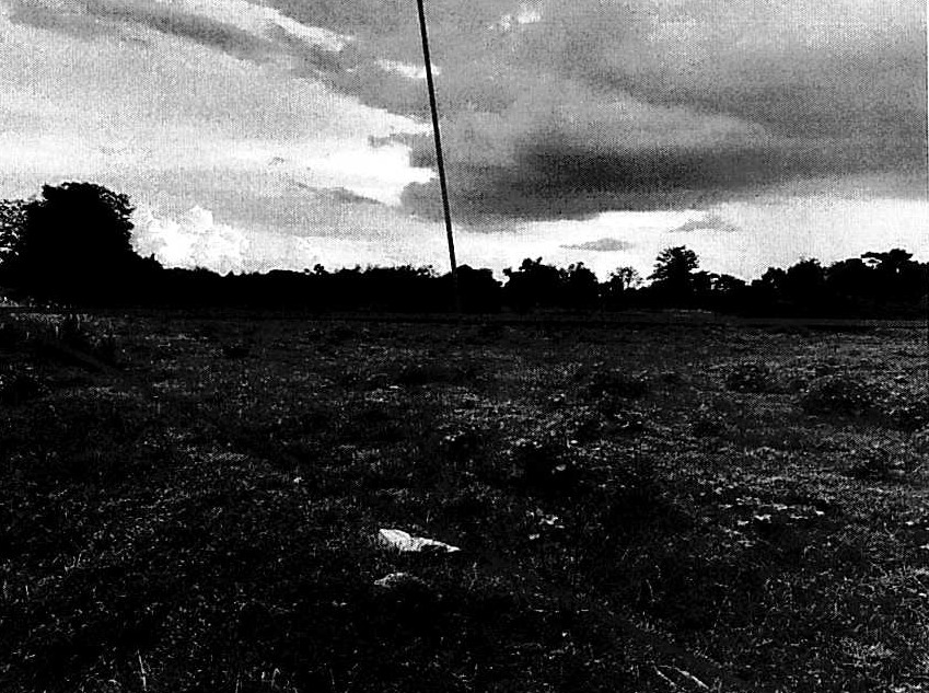 รูปที่ดินว่างเปล่า ท่ามะนาว ชัยบาดาล ลพบุรี