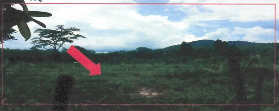 รูปที่ดินว่างเปล่า สามัคคี รือเสาะ นราธิวาส