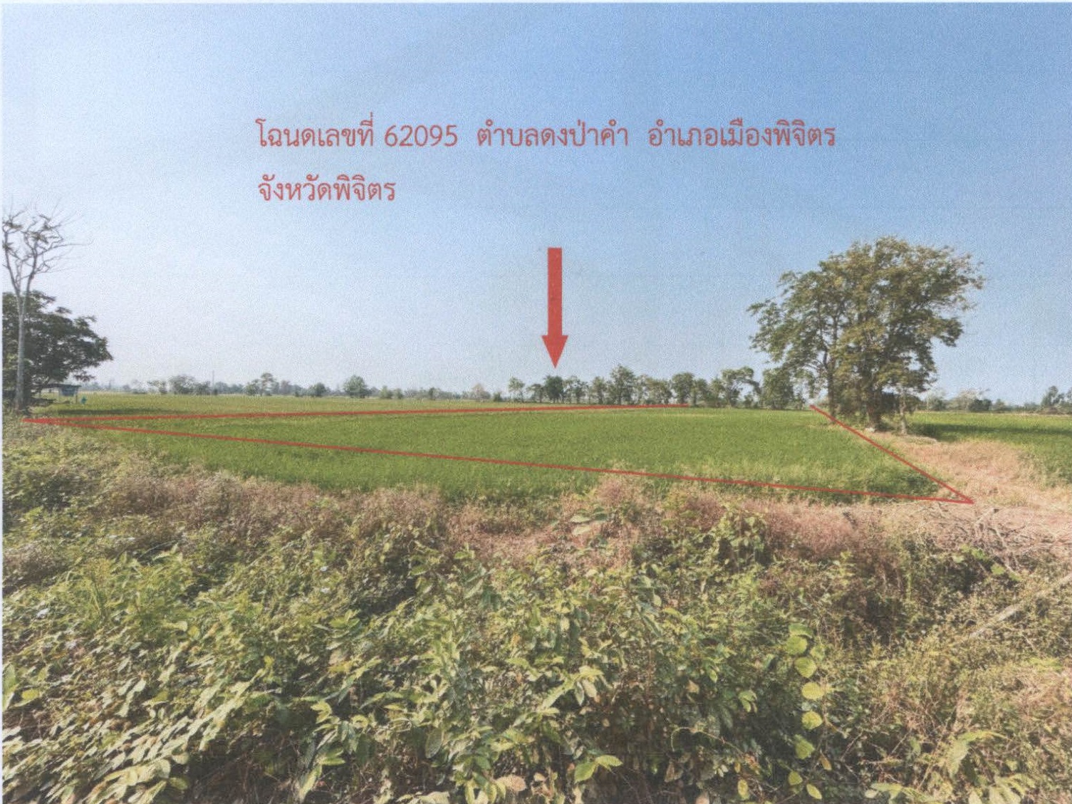 รูปที่ดินว่างเปล่า ดงป่าคำ เมืองพิจิตร พิจิตร