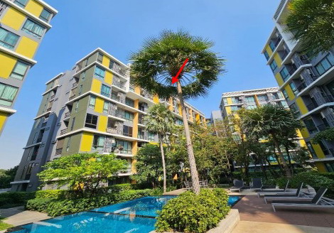 รูปห้องชุด บางนา บางนา กรุงเทพมหานคร