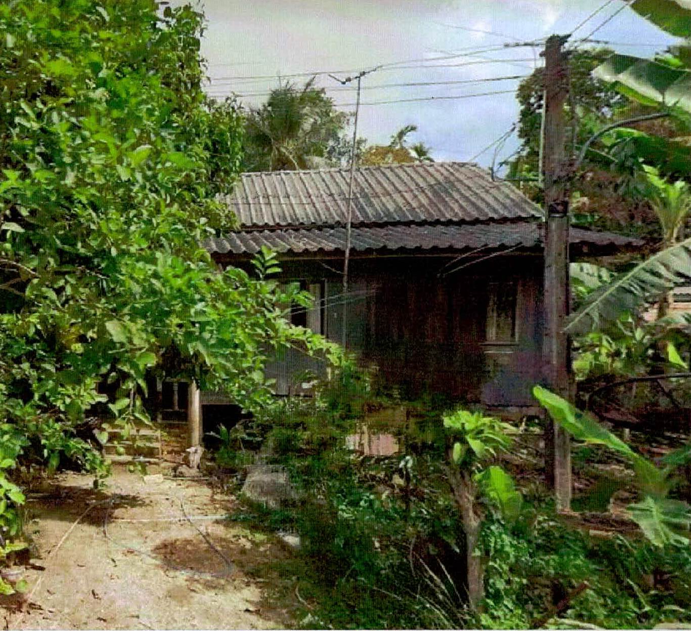 รูปที่ดินพร้อมสิ่งปลูกสร้าง ละหาร สายบุรี ปัตตานี