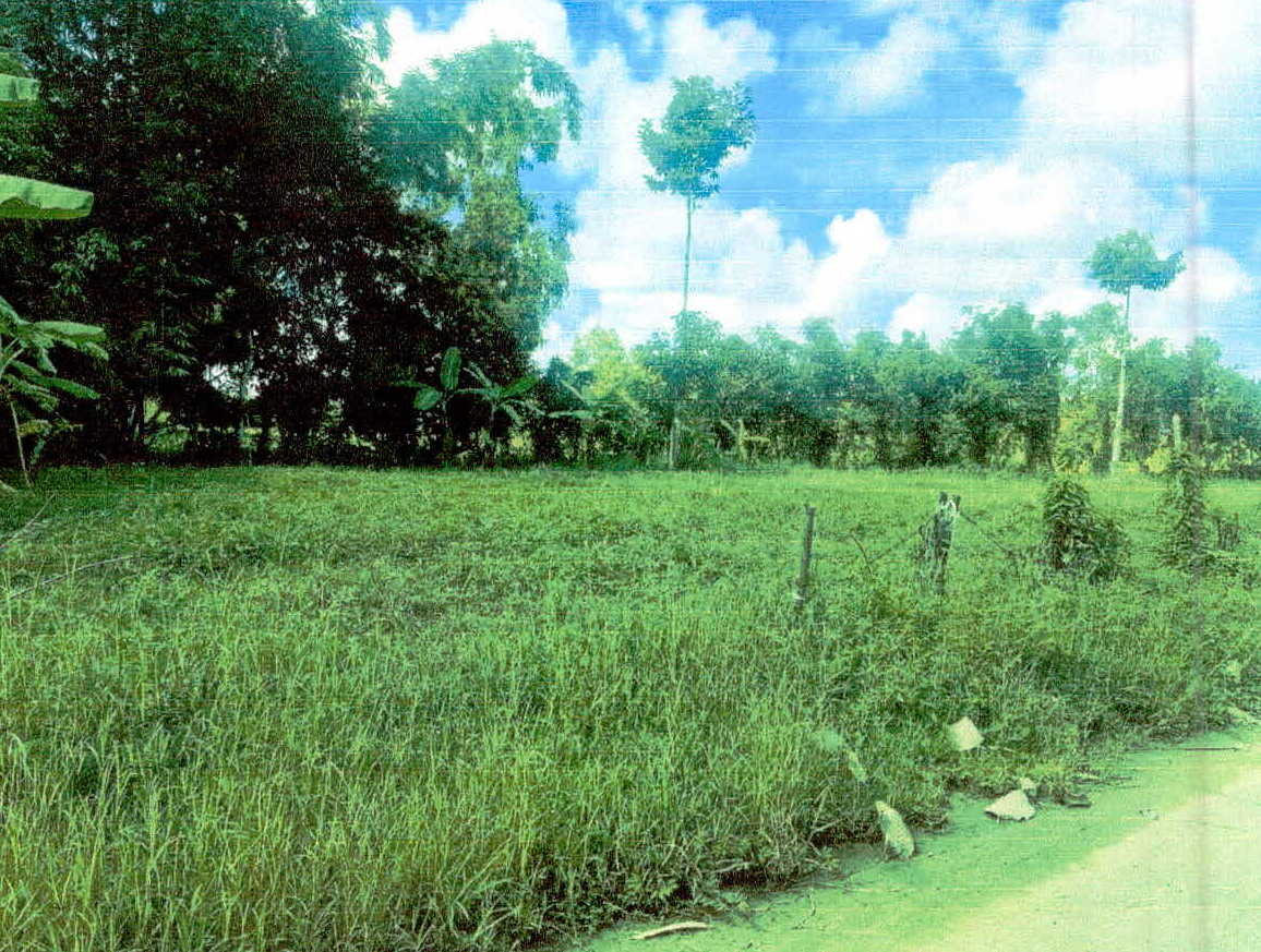 รูปที่ดินว่างเปล่า ผักไหม ห้วยทับทัน ศรีสะเกษ
