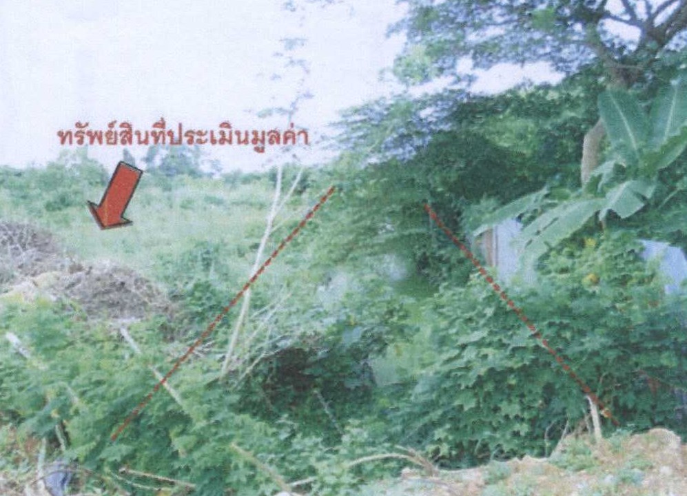 รูปที่ดินว่างเปล่า ท่าเสา เมืองอุตรดิตถ์ อุตรดิตถ์