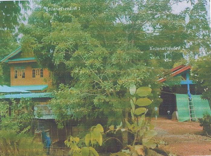 รูปที่ดินพร้อมสิ่งปลูกสร้าง ไกรนอก กงไกรลาศ สุโขทัย
