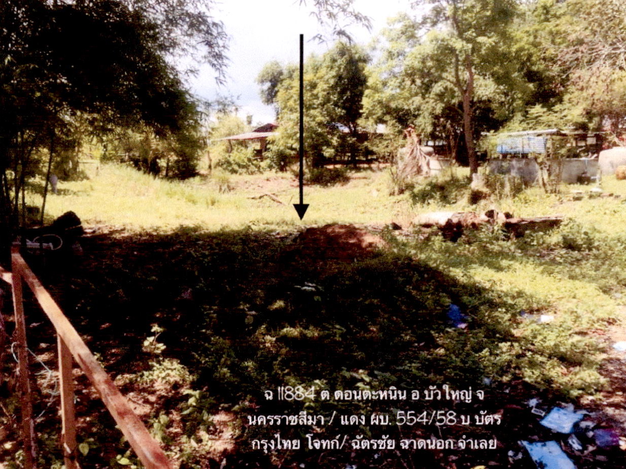 รูปที่ดินว่างเปล่า ดอนตะหนิน บัวใหญ่ นครราชสีมา