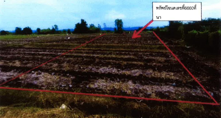 รูปที่ดินว่างเปล่า แม่คะ ฝาง เชียงใหม่