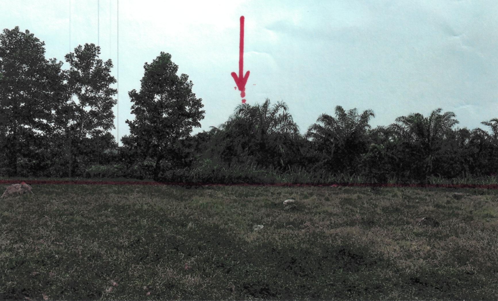 รูปที่ดินว่างเปล่า การะเกด เชียรใหญ่ นครศรีธรรมราช