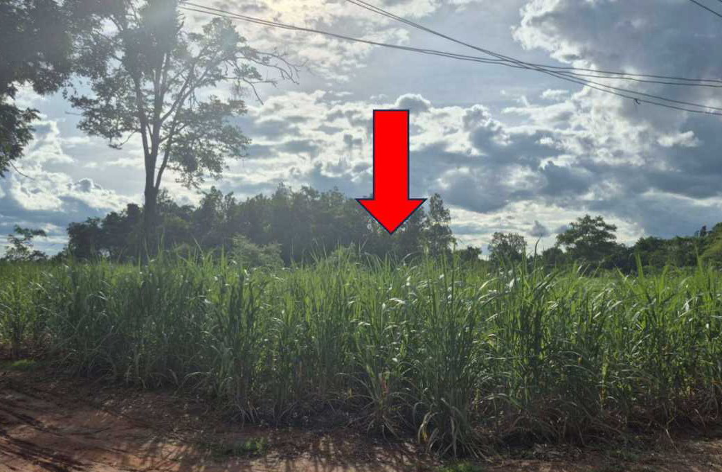 รูปที่ดินว่างเปล่า เมืองใหม่ ศรีบุญเรือง หนองบัวลำภู