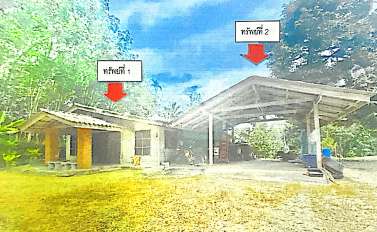 รูปที่ดินพร้อมสิ่งปลูกสร้าง กรุงชิง นบพิตำ นครศรีธรรมราช