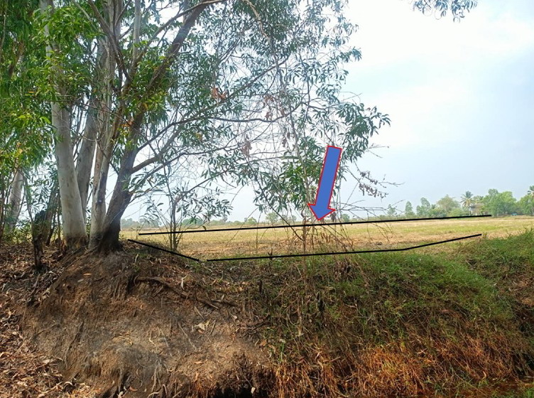 รูปที่ดินว่างเปล่า ท่าเรือ ปากพลี นครนายก