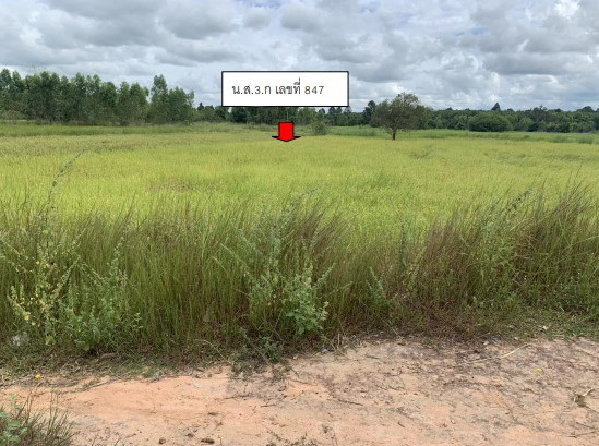 รูปที่ดินว่างเปล่า ขั้นไดใหญ่ เมืองยโสธร ยโสธร