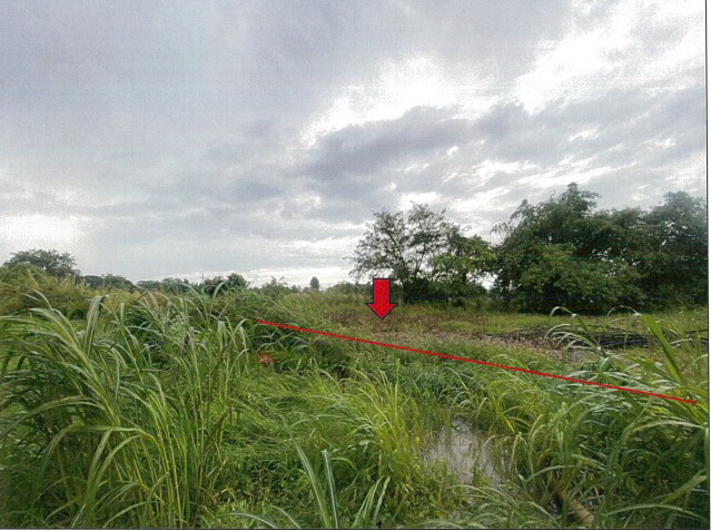 รูปที่ดินว่างเปล่า ท่าซุง เมืองอุทัยธานี อุทัยธานี