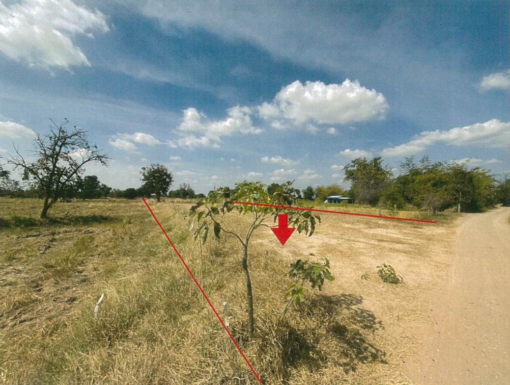 รูปที่ดินว่างเปล่า หนองบัวตะเกียด ด่านขุนทด นครราชสีมา