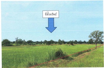 รูปที่ดินว่างเปล่า หนองแวงนางเบ้า พล ขอนแก่น