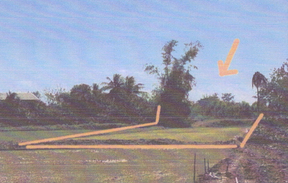 รูปที่ดินว่างเปล่า บ้านเขว้า บ้านเขว้า ชัยภูมิ